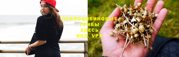 кокс Нея