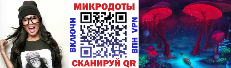 Галлюциногенные грибы Psilocybe  Купить  Киржач 